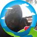 Bill Kayee - Facebook
