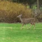 kaye_bill - @kaye_bill - Instagram
