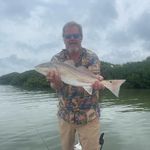 Bill Keating - @_papa_bill - Instagram
