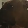 Keaton_billy - @keaton_billy - TikTok