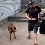 Bill Keefe - @billandhenrythedog - Instagram