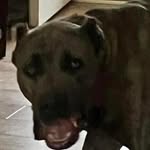 Billy J Keeling - @billy.keeling.965 - Instagram
