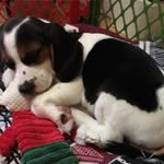 Bill Keen - @bkeen426 - Instagram