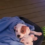 Bill Keith - @billkeith1 - Instagram