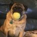 Bill Kelch - Facebook