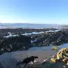 So famous - @billy.kelleher - TikTok