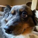 Bill Kelm - @shooby49 - Instagram