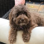 Bill Minnick - @billkelmin - Instagram