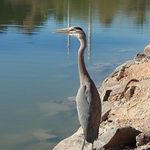 Bill Kendall - @billkendall4 - Instagram