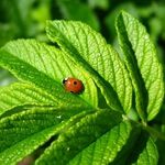 Edmond kenley Billy - @edmond_kenley_billy - Instagram