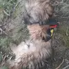 Bill kerry - @bill.kerry - TikTok