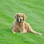 Bill Kiesel - @b.kiesel.3 - Instagram