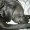 billykillinger - @billy.killinger - TikTok