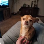 Bill Kincaid - @bill.kincaid.5 - Instagram