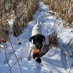 Bill Knapp - @pbknapp - Instagram