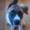 Bill Knapp - @bill.knapp98 - TikTok