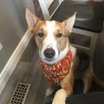 Bill Kraus - @kraus7883 - Instagram