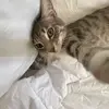 Billie - @billiekwan - TikTok