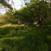 BIllAL bita - @billal.bita - TikTok
