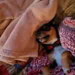 Bill Lacks - @billlacks - Instagram