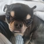 Pak Sunhak - @bill.lackman - Instagram