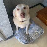 Bill Laffin - @bill.laffin.750 - Instagram