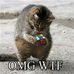 Bill Lahey - Facebook