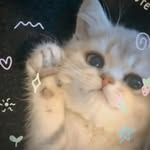 Nyssa tooo - @billlai__sleep - Instagram