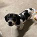 Bill Laing - Facebook