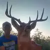 billylamm - @billylamm - TikTok