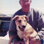 Bill Lampros - @lamprosbill - Instagram