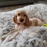 Jean Williams - @billlance60 - Instagram