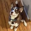 billandaurora - @billandaurora - TikTok