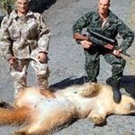 Bill Landers - @bill.landers.94 - Instagram