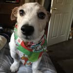 Bill Landman - @troubleman1033 - Instagram