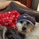 Bill Landon - @billlandon39 - Instagram