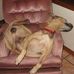 William Landrum - Facebook
