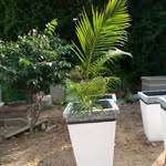 BILL BLACK LANDSCAPE - @billblacklandscapesgh1 - Instagram
