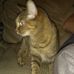 Bill Langdon - Facebook