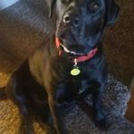 Bill Langford - @bill.langford.9887 - Instagram