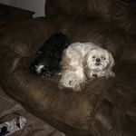 Bill Langlois - @langlois_bill - Instagram