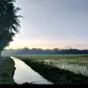 t - @billanis - TikTok