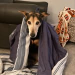 Bill Lantry - @lantrybill - Instagram