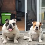 Bill LaPierres - @billlapierres - Instagram