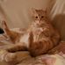 Billy Lapointe - Facebook