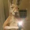 Bill Larahdhdhdhsj - @bill.larahdhdhdhs - TikTok
