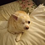Bill Large - @mlfam129048 - Instagram