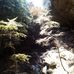 William Larimer - Facebook