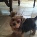 Bill Larkin - Facebook