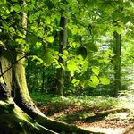 Bill Larkin - @billlarkin - Instagram